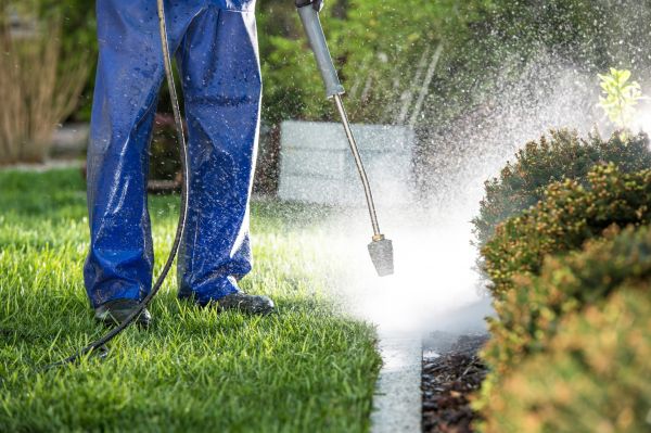 Curb Cleaning in Santa Cruz