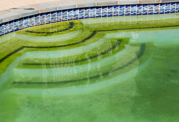Pool Deck Algae Removal in Santa Cruz