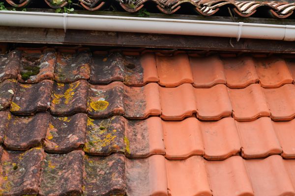 Industrial Roof Cleaning in Santa Cruz