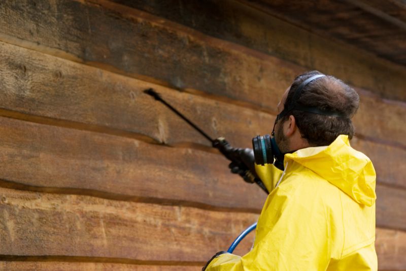 Cedar Siding Cleaning